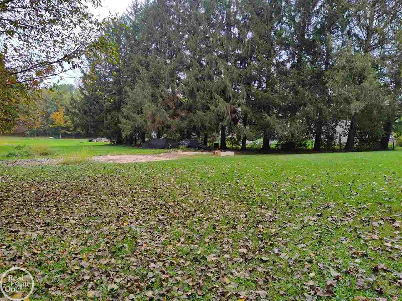 3785 Rives Eaton Road Rives Junction, MI 49277 - Photo 14 of 41 #2 dirve to Rives Eaton