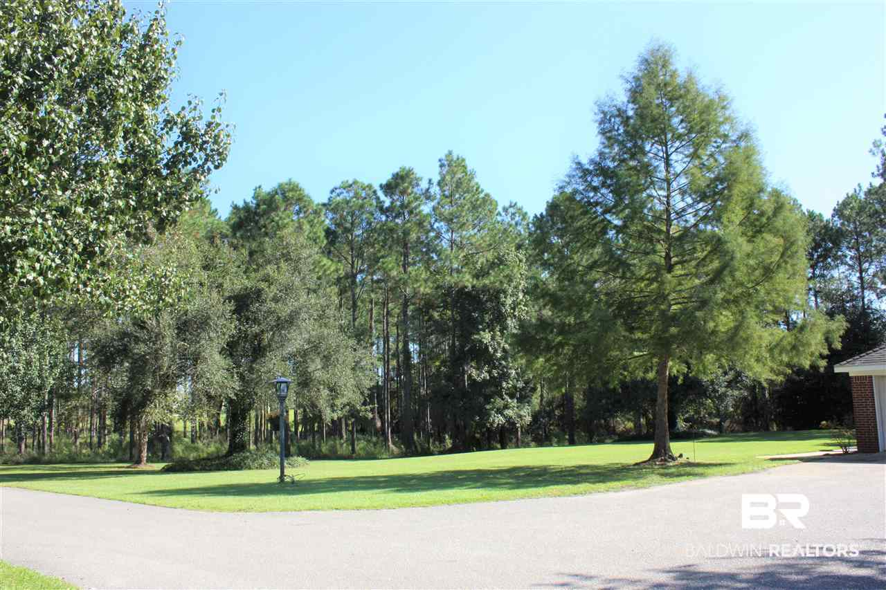13768 Trawick Road Stapleton, AL 36578 - Photo 28 of 31 Front yard