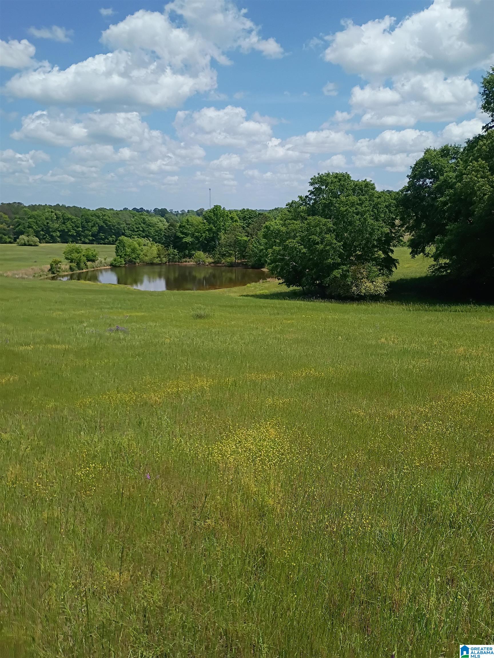 3664 Joe Lee Road Talladega, AL 35160 - Photo 8 of 46