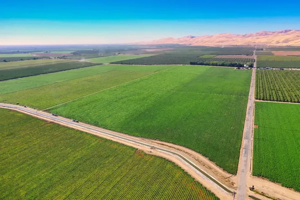 a view of a field with an ocean view
