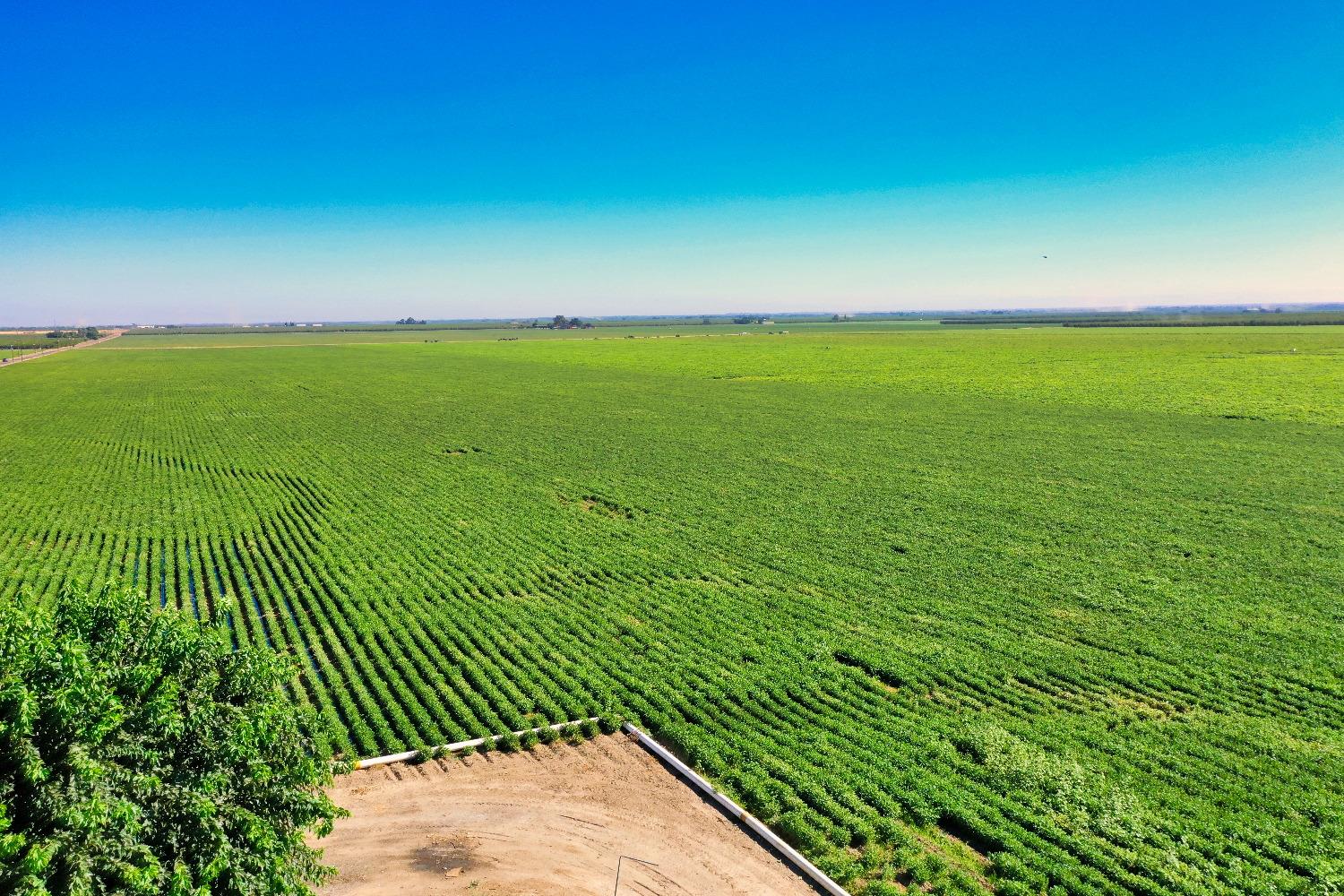 4942 McCracken Road Westley, CA 95387 - Photo 9 of 15 a view of yard with swimming pool and wooden fence