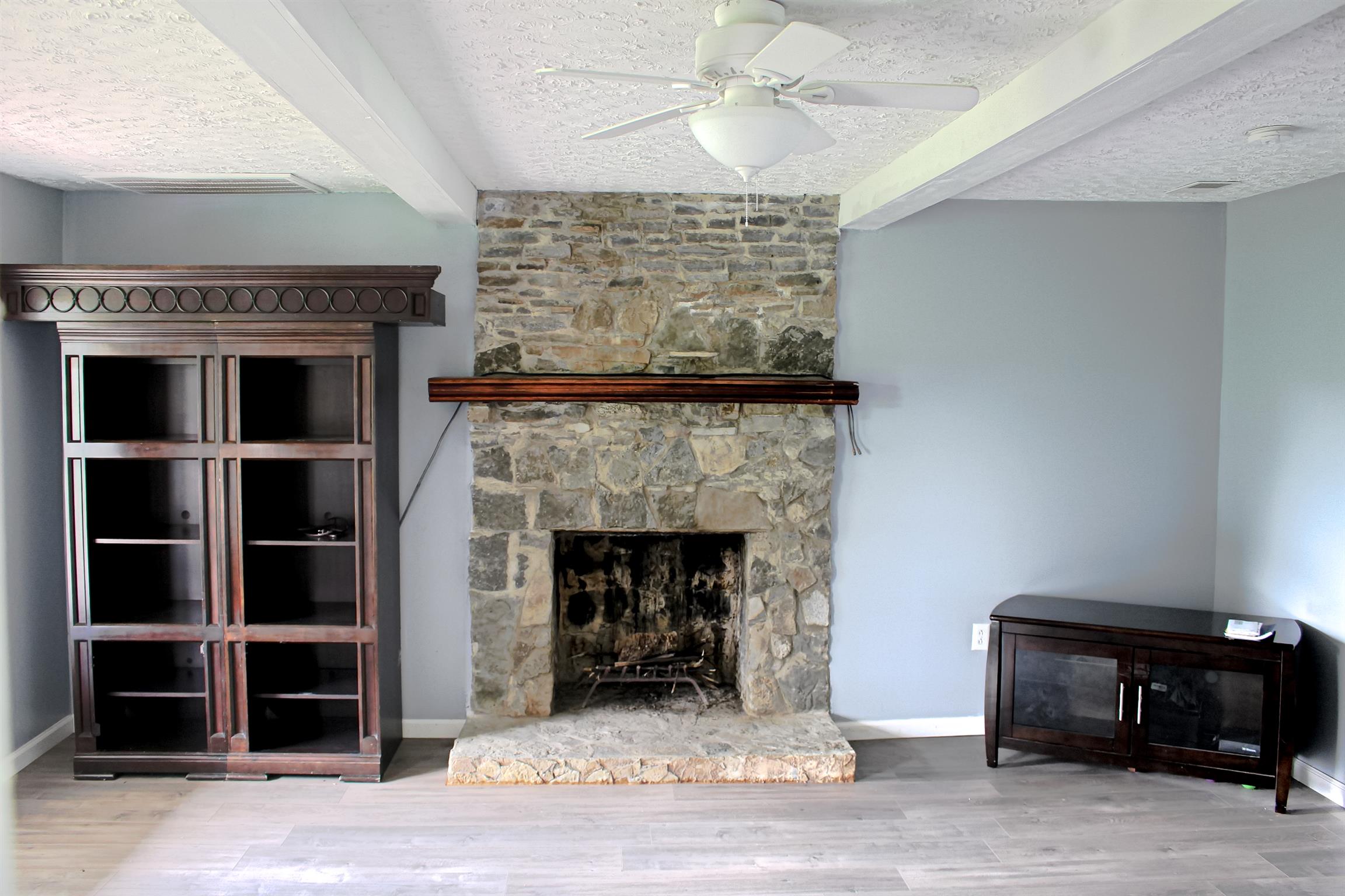 2454 Goshen Road Lebanon, TN 37087 - Photo 3 of 18 a living room with a fireplace and a potted plant