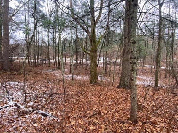 Lot 7 Bondsville Road Ware, MA 01082 - Photo 6 of 11 Gallery Image 6
