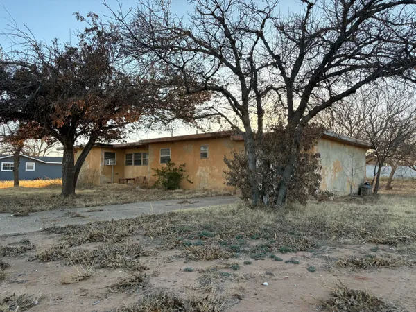a view of a yard with a tree