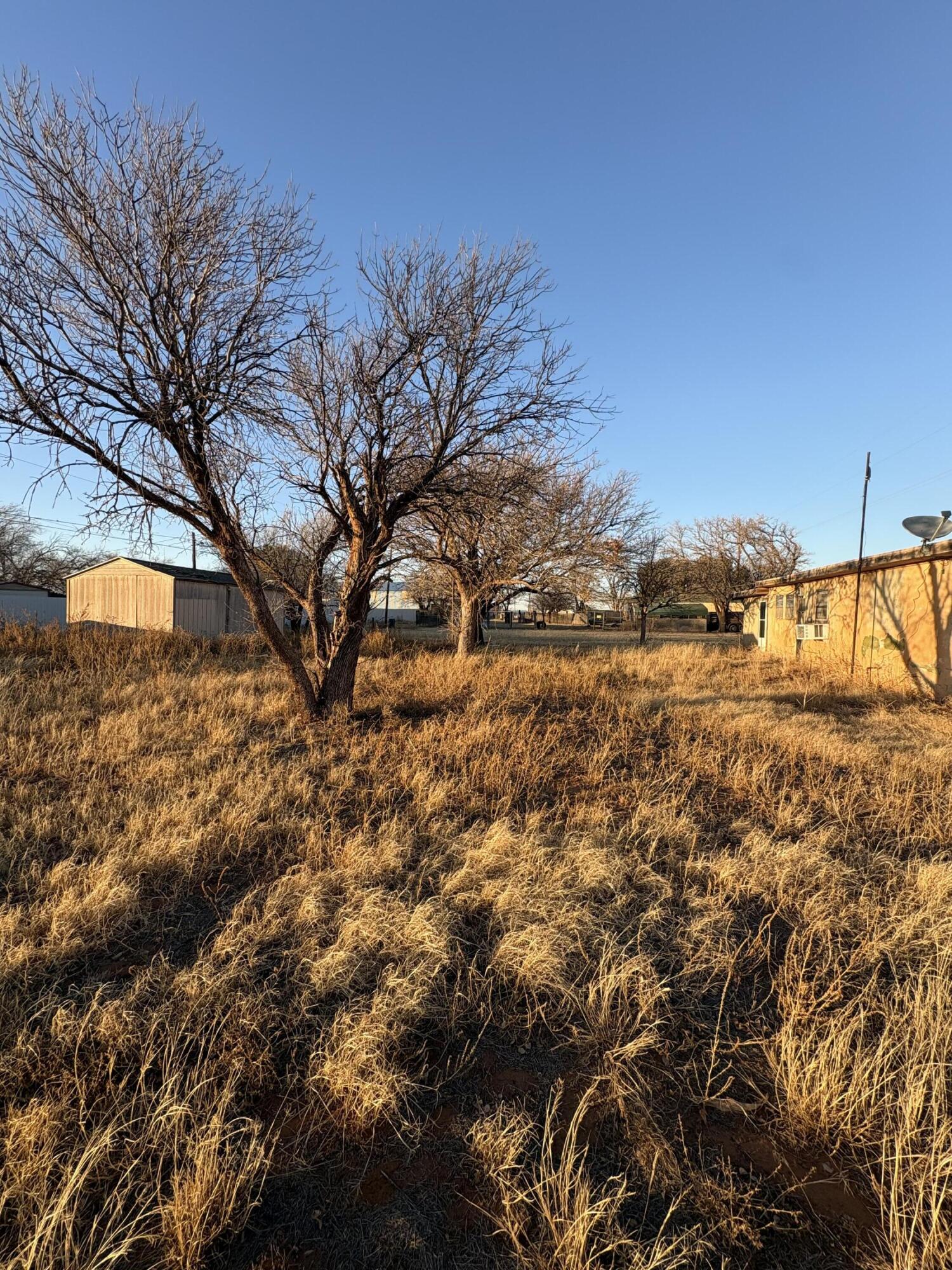 701 South 14th Street Brownfield, TX 79316 - Photo 4 of 10 IMG_2015