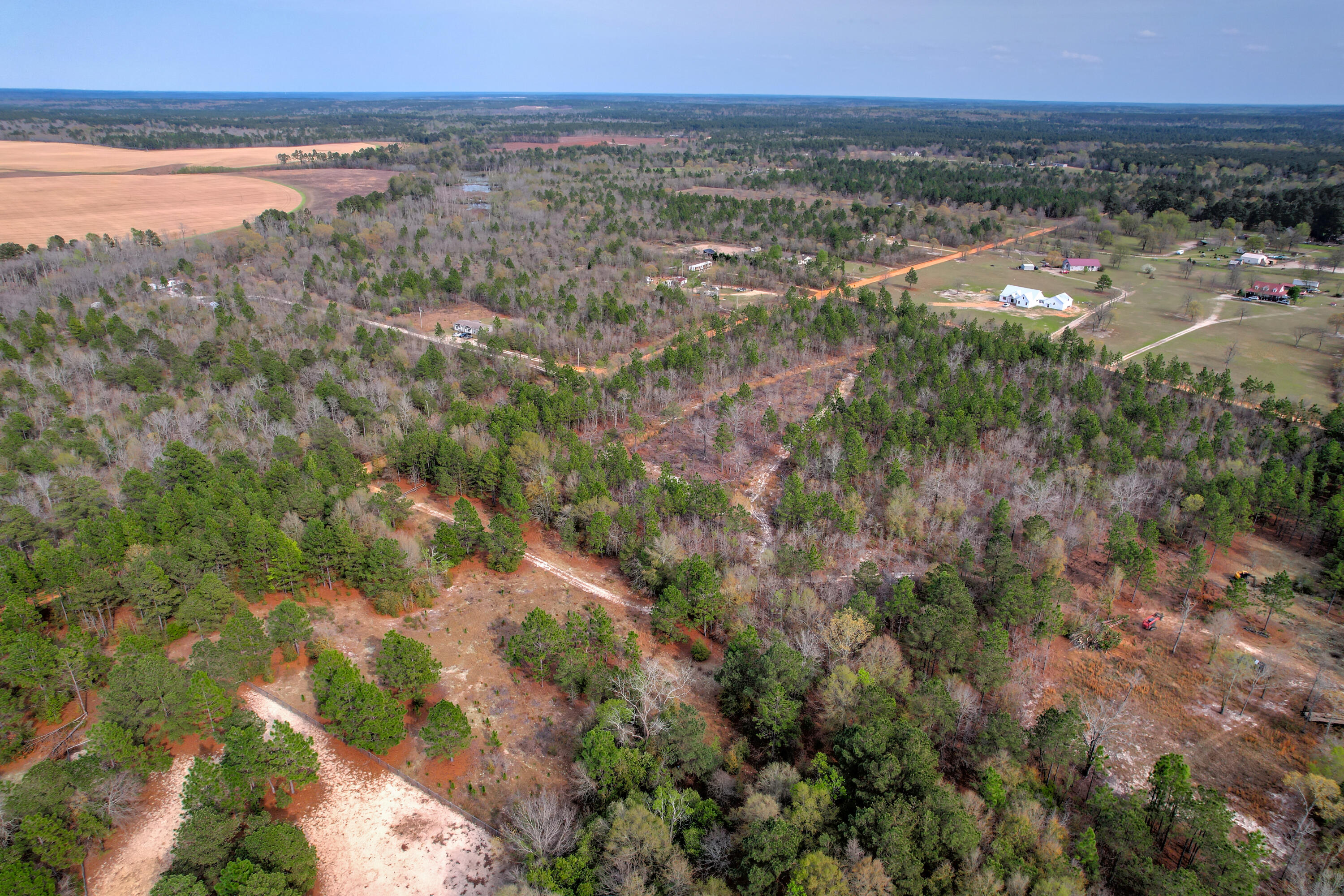 11-acres North 11-acres N Windsor Road Windsor, SC 29856 - Photo 16 of 16