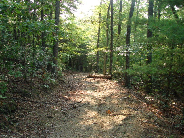 N/a Deepwater Road Indian Valley, VA 24105 - Photo 1 of 1 Gallery Image 1