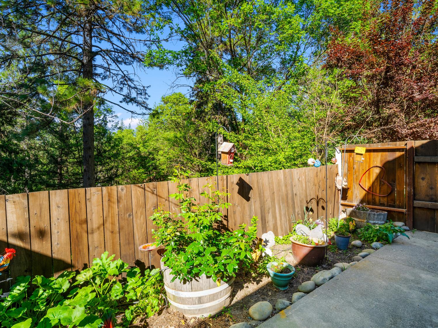 6800 Diablo View Trail Placerville, CA 95667 - Photo 17 of 33 a wooden fence with some plants