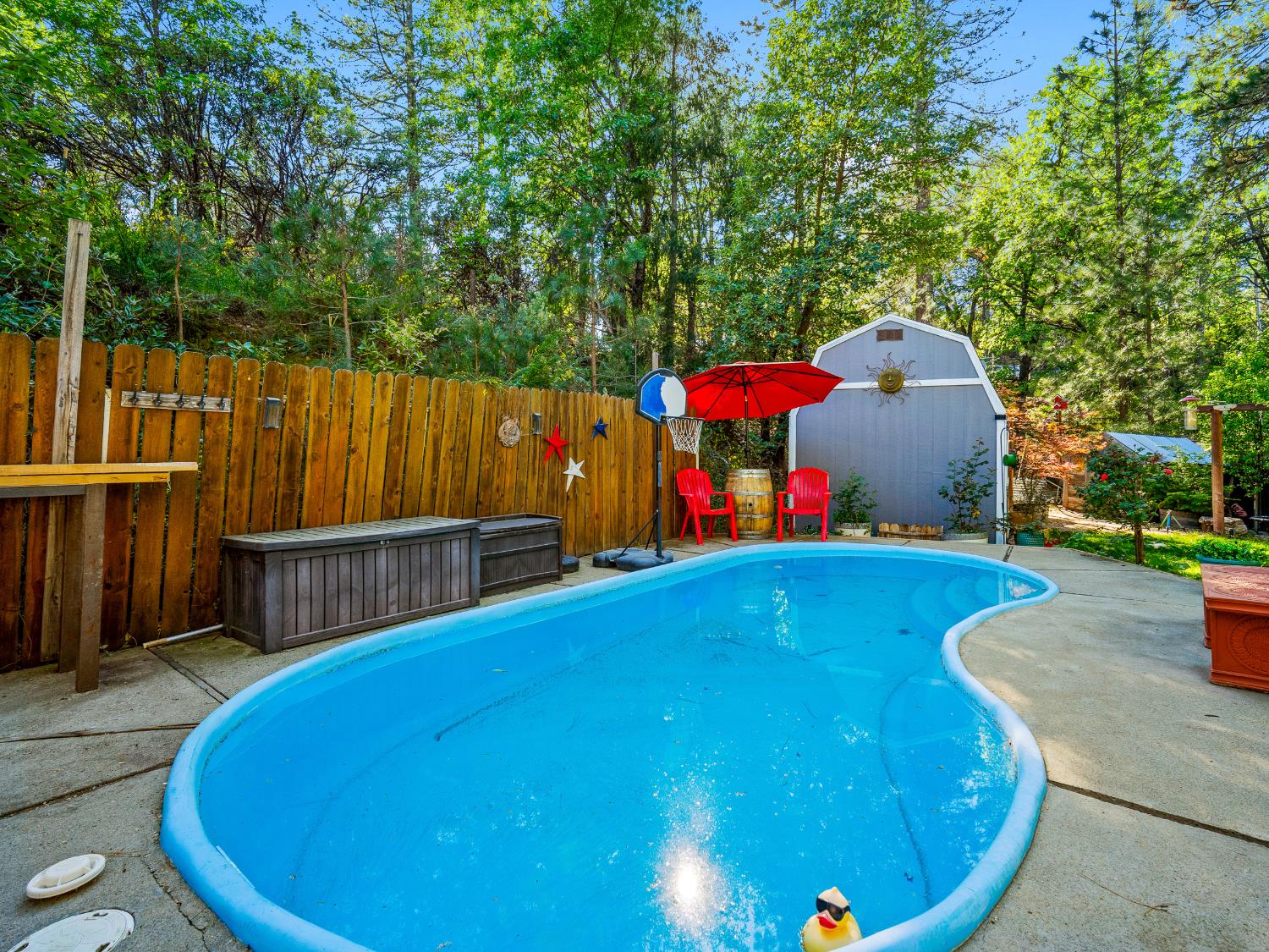 6800 Diablo View Trail Placerville, CA 95667 - Photo 8 of 33 a view of a swimming pool with an outdoor seating