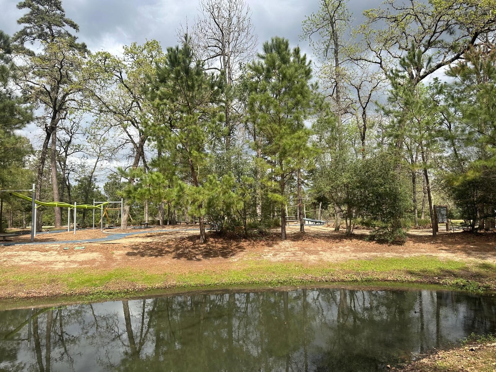 6 Gentle Branch Place Tomball, TX 77375 - Photo 46 of 46