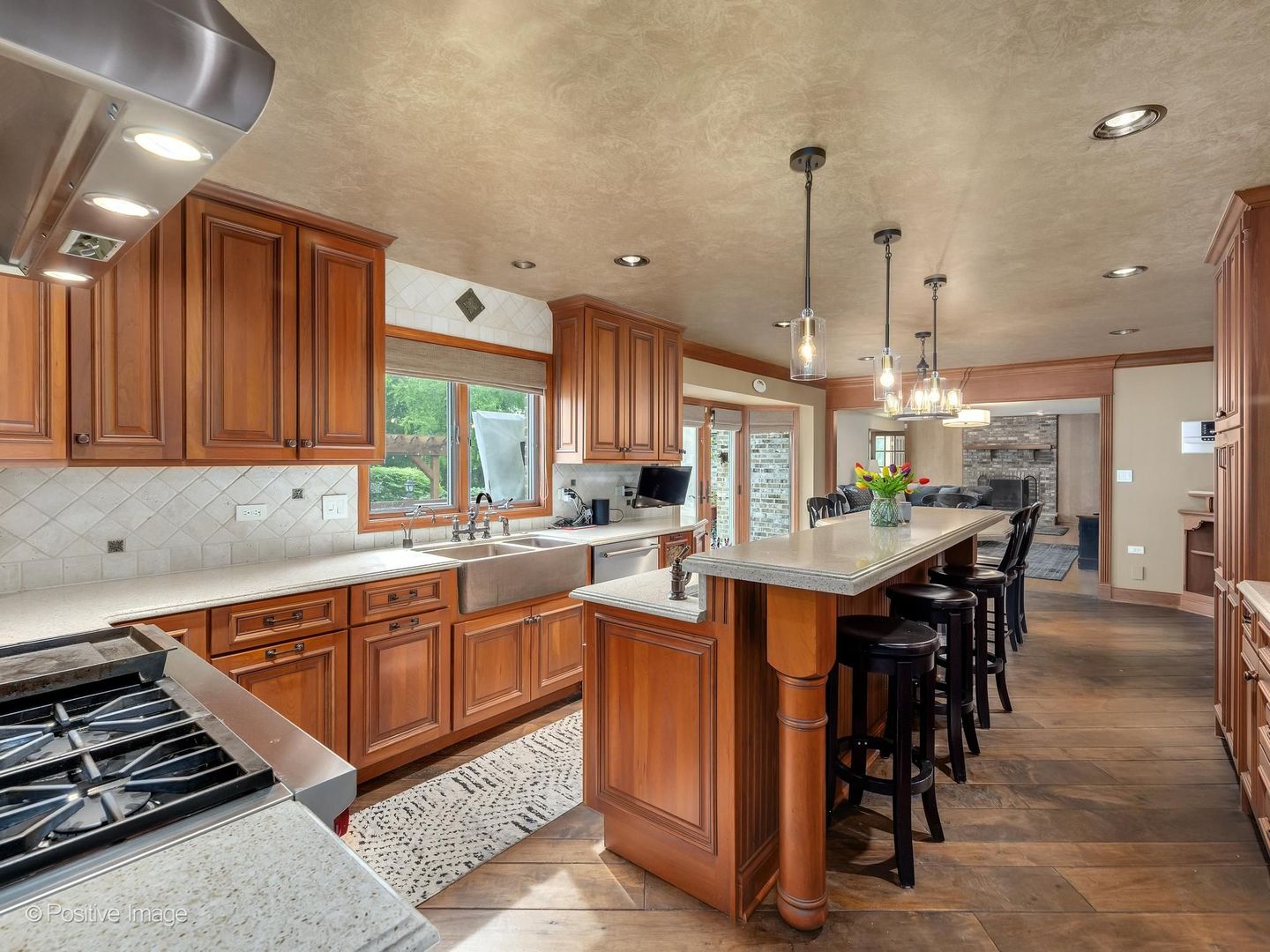 6451 Garfield Ridge Court Burr Ridge, IL 60527 - Photo 12 of 41 Gallery Image 12