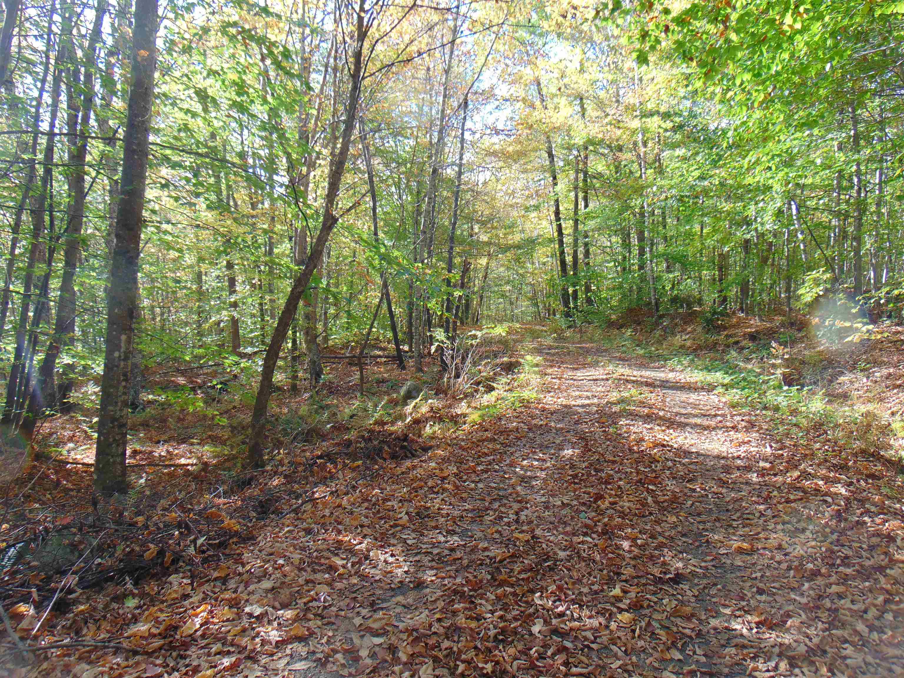 0 Wilderness Road, Unit 2 25 ACRES Lunenburg, VT 05906 - Photo 11 of 16