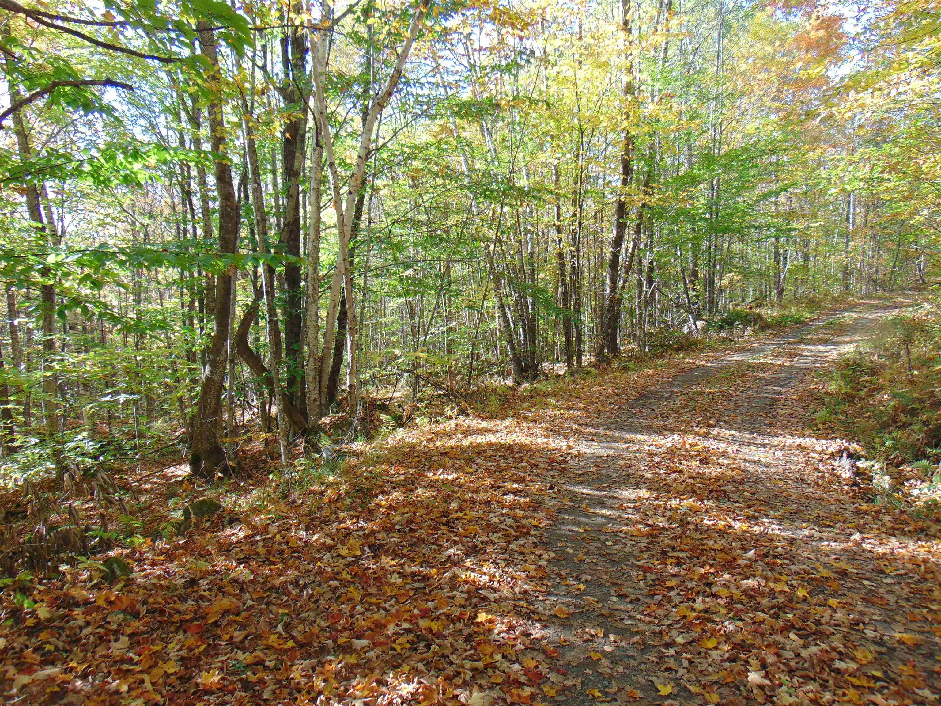 0 Wilderness Road, Unit 2 25 ACRES Lunenburg, VT 05906 - Photo 13 of 16