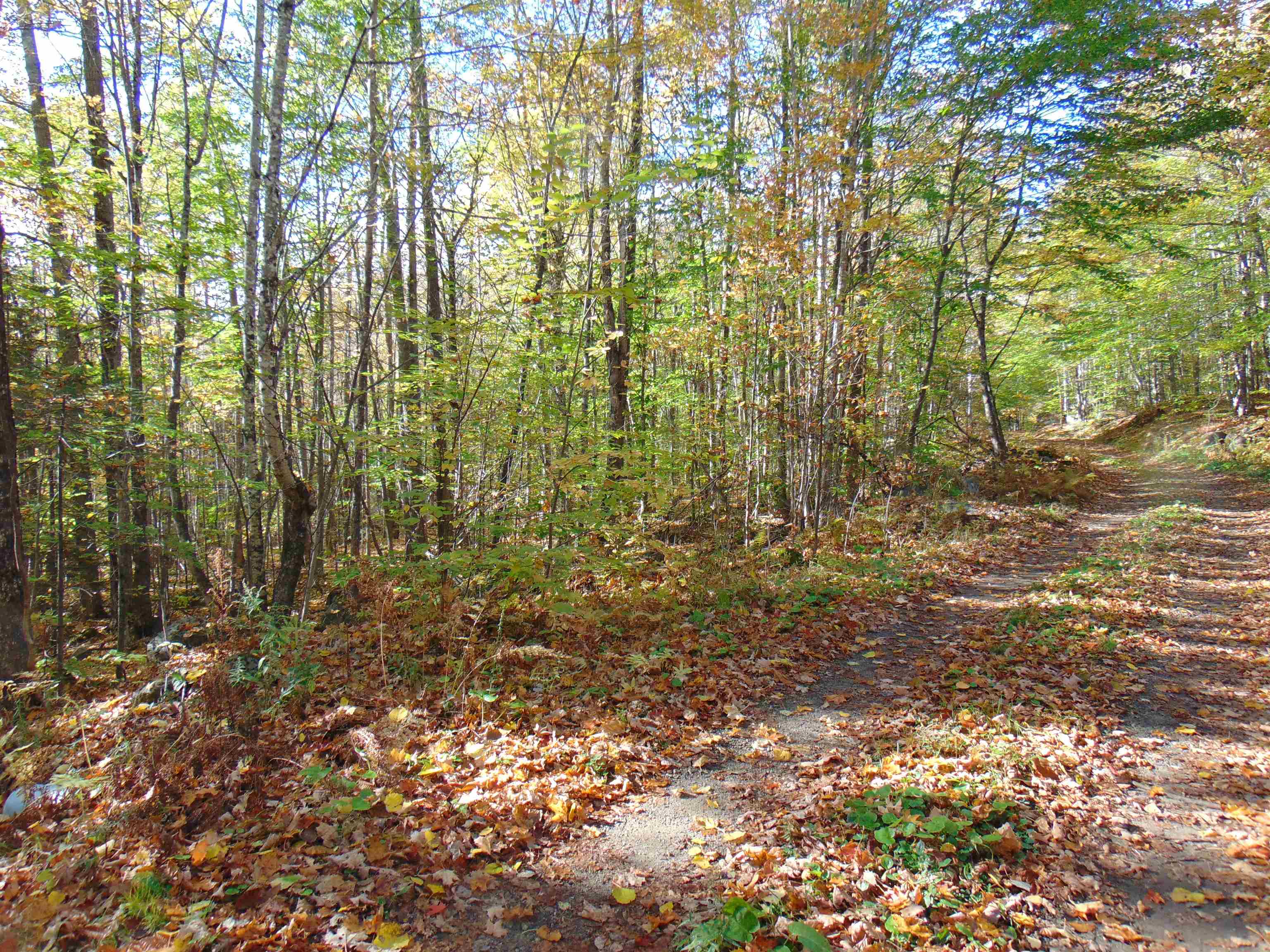 0 Wilderness Road, Unit 2 25 ACRES Lunenburg, VT 05906 - Photo 16 of 16