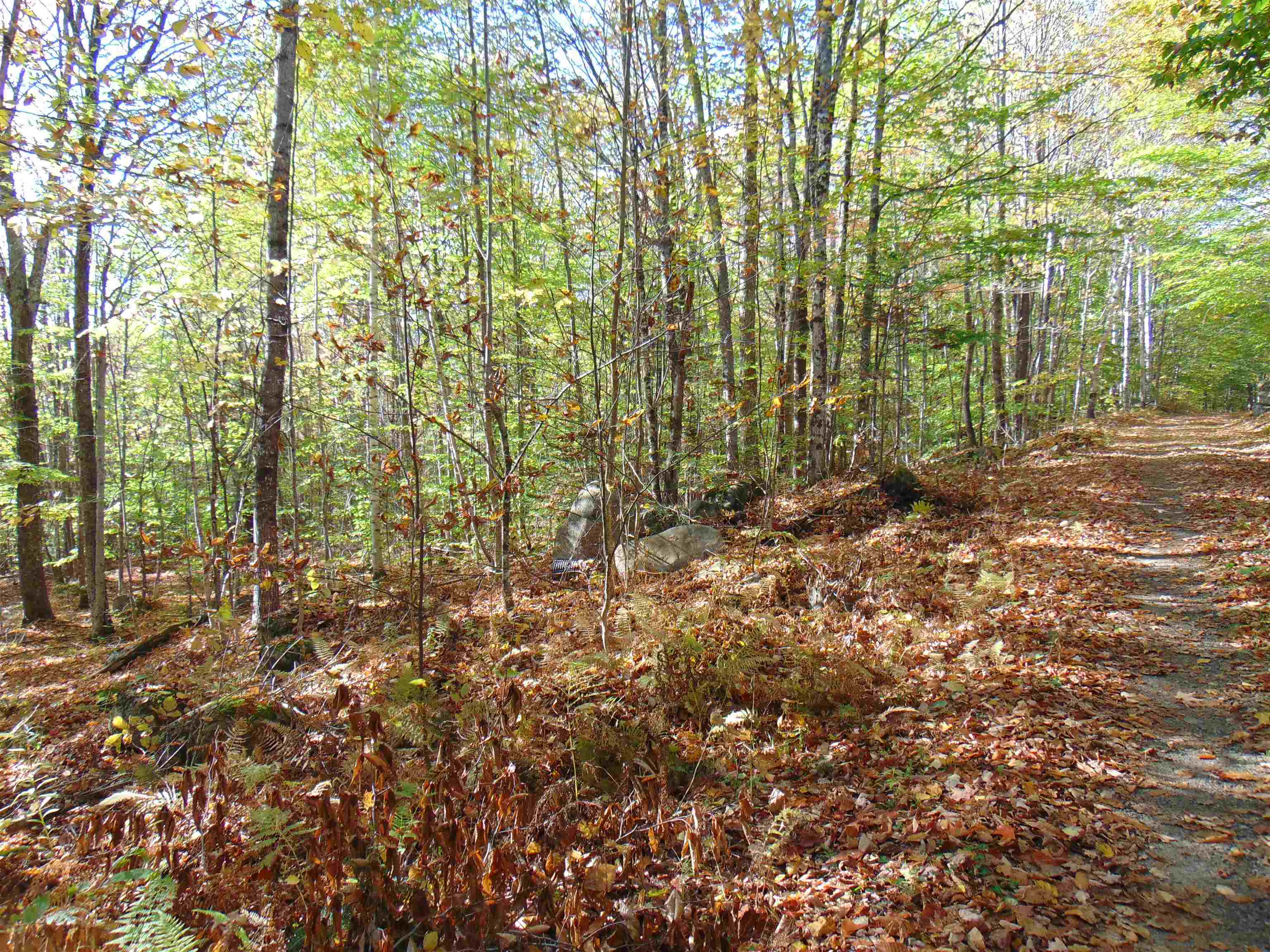 0 Wilderness Road, Unit 2 25 ACRES Lunenburg, VT 05906 - Photo 3 of 16