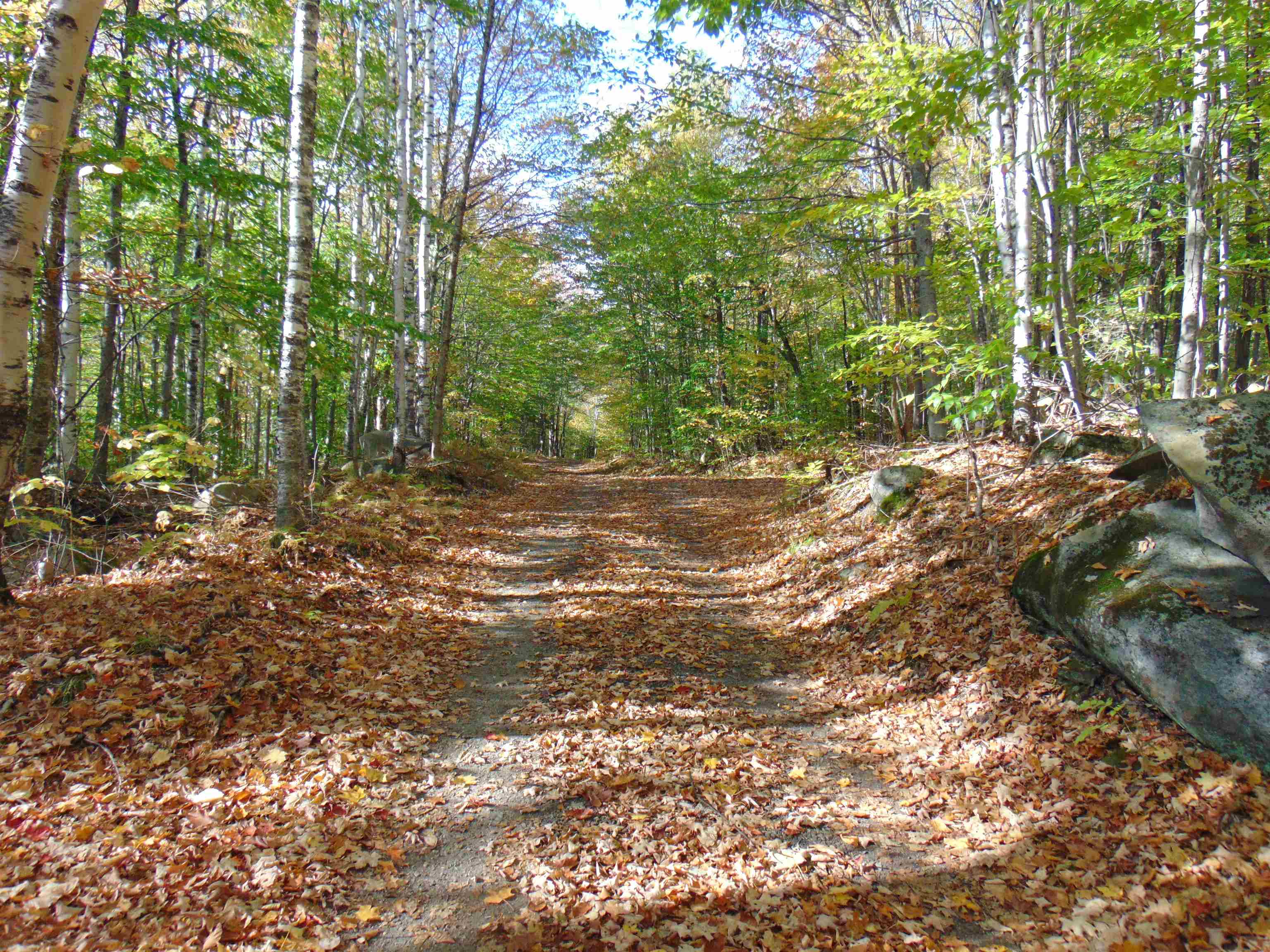 0 Wilderness Road, Unit 2 25 ACRES Lunenburg, VT 05906 - Photo 4 of 16