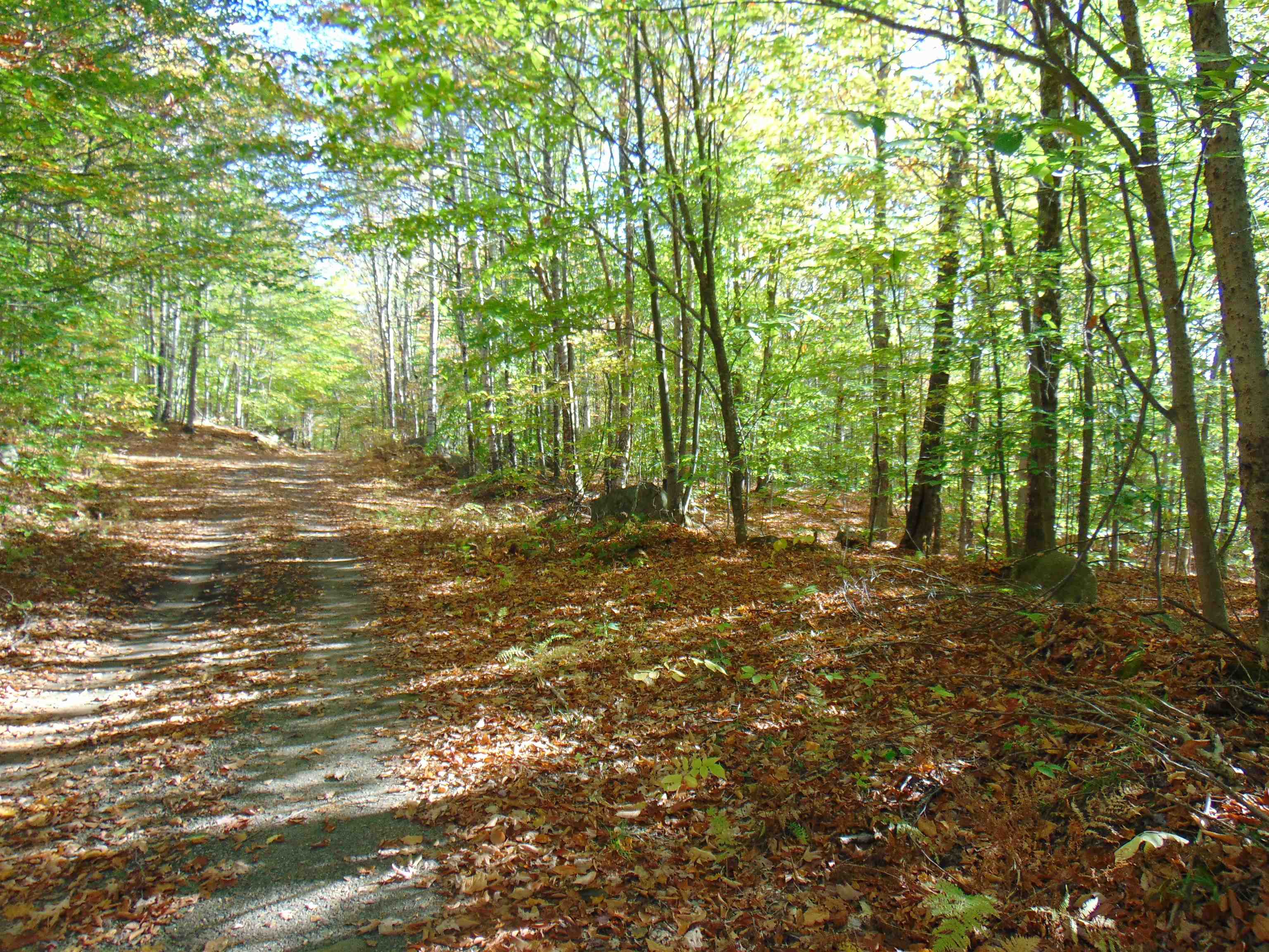 0 Wilderness Road, Unit 2 25 ACRES Lunenburg, VT 05906 - Photo 6 of 16