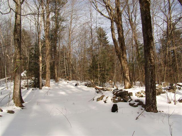 Lot 32 Mt Hunger Road Monterey, MA 01245 - Photo 1 of 2 a view of outdoor space with seating area