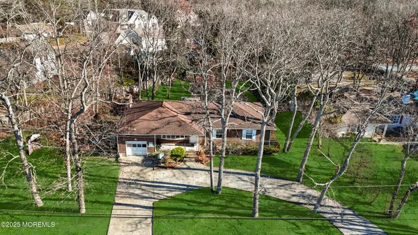 a view of a park that has a tree on the side of it