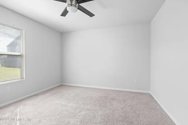 a view of a backyard with plants and a backyard