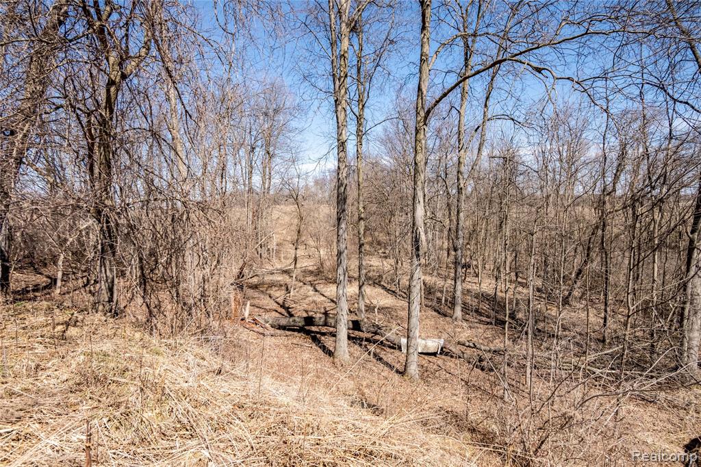 4949 West Beard Road Perry, MI 48872 - Photo 7 of 9