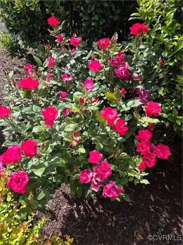 $538,000 | 908 Newsome Court, Goochland, VA 23063