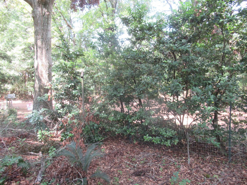 6400 Guedon Road Natchez, MS 39120 - Photo 12 of 21 Photo 12