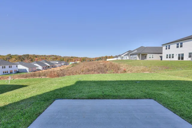 a view of a big yard with a large tree