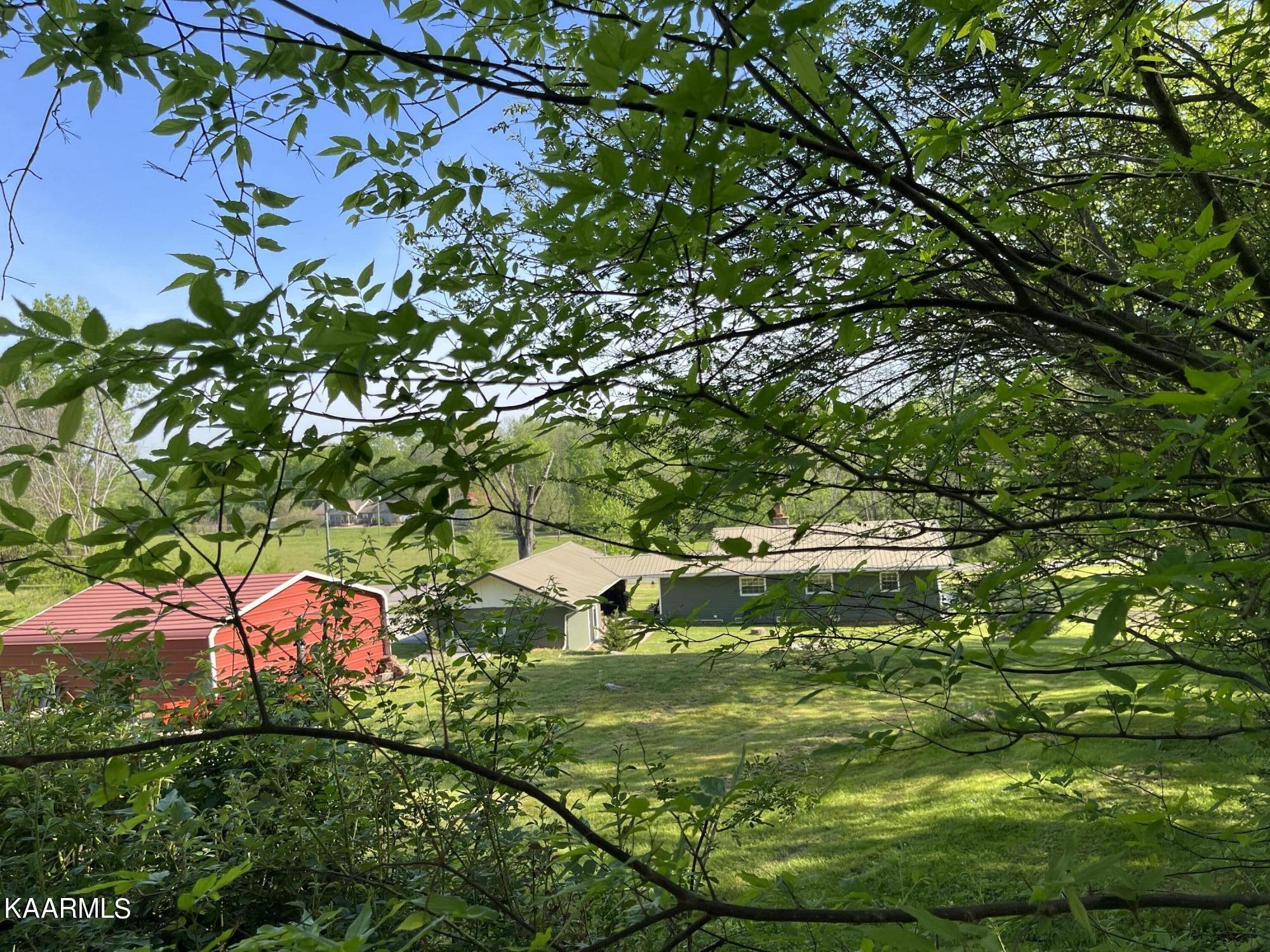 4700 Sunnyside Road Philadelphia, TN 37846 - Photo 28 of 48 a backyard of a house with lots of green space