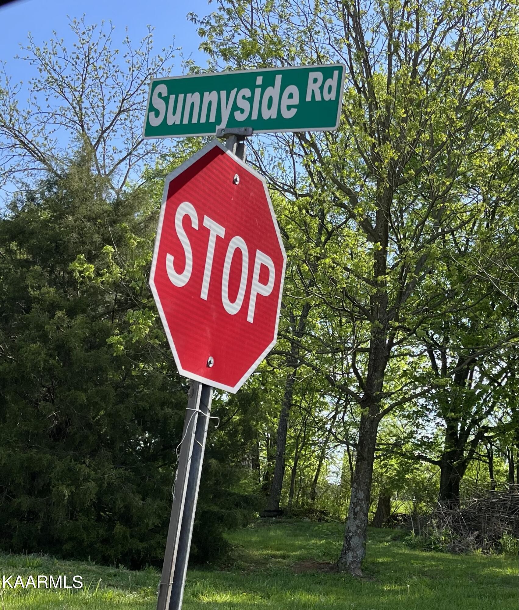 4700 Sunnyside Road Philadelphia, TN 37846 - Photo 48 of 48 a sign board with a tree
