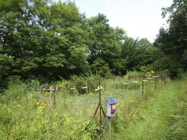 14488 AA Highway Butler, KY 41006 - Photo 20 of 27 Gallery Image 20