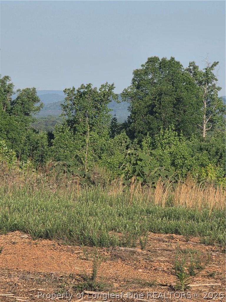 0 Skeen View Road Asheboro, NC 27205 - Photo 8 of 20 a view of a yard