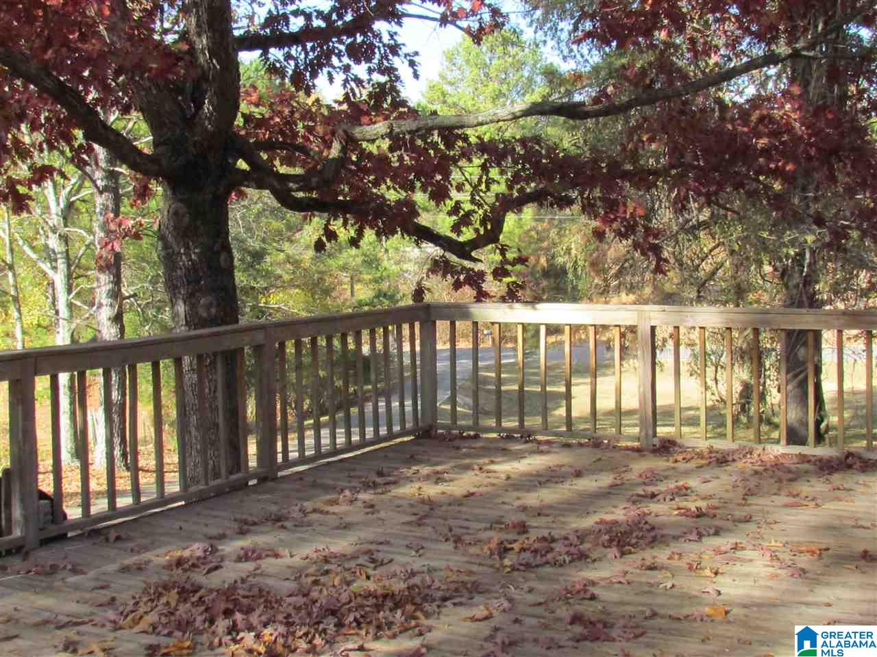 980 A P Hollingsworth Road Wellington, AL 36279 - Photo 4 of 16