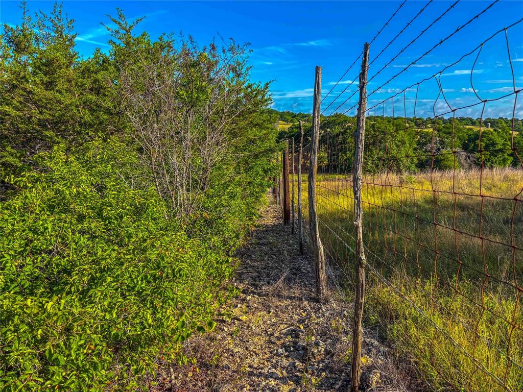 Unk Unk Private Road, Unit 2131 Iredell, TX 76649 - Photo 16 of 36 a view of a garden