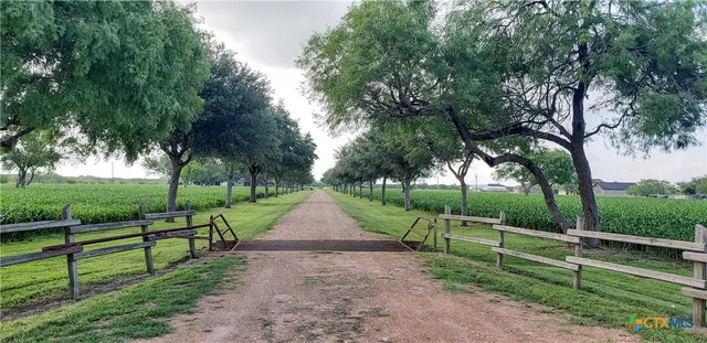 a view of park and entertaining space