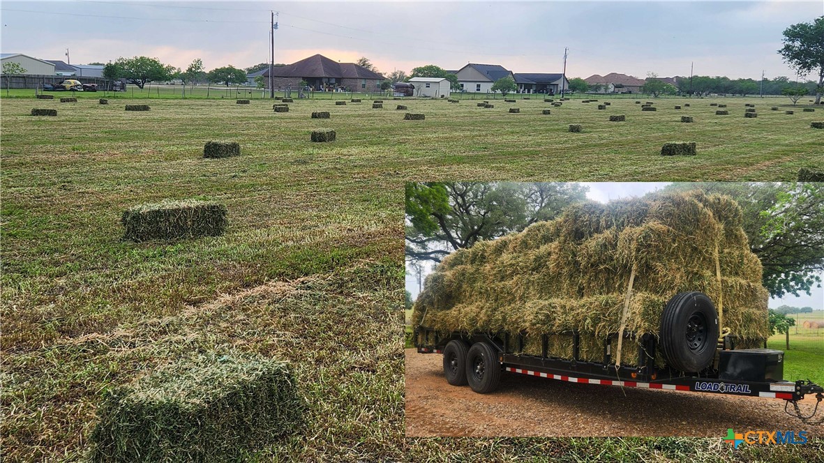 847 Oliver Road Victoria, TX 77904 - Photo 31 of 47 This acreage has fantastic hay production