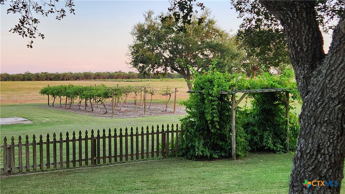 847 Oliver Road Victoria, TX 77904 - Photo 34 of 47 Vineyard