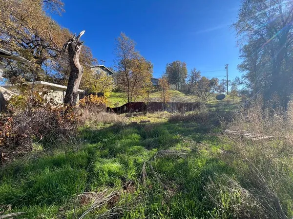 a view of a backyard with large trees