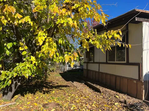 a view of a yard with large trees