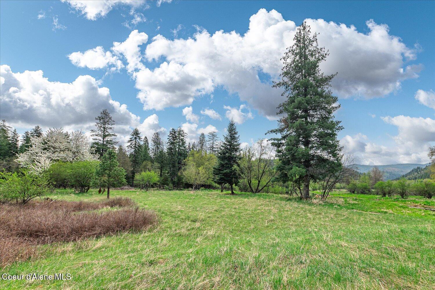 36524 East Canyon Road Cataldo, ID 83810 - Photo 16 of 88 11-47.54488, -116.32776 011