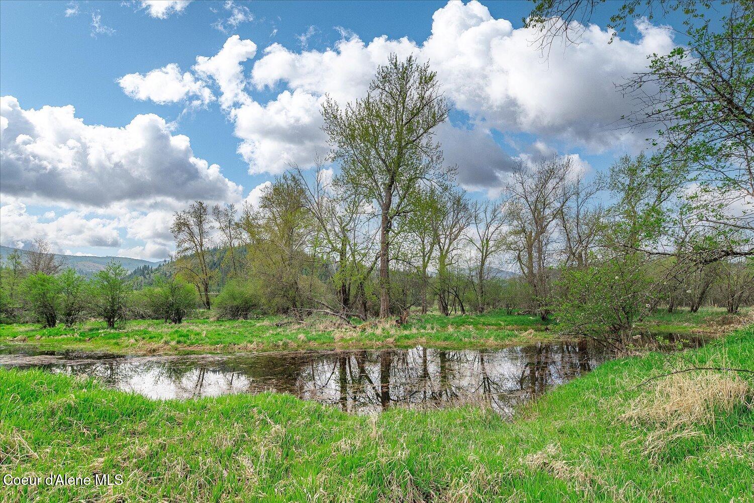 36524 East Canyon Road Cataldo, ID 83810 - Photo 17 of 88 12-47.54488, -116.32776 012