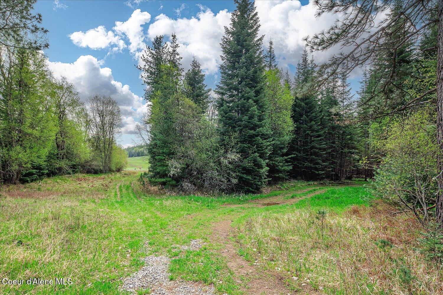 36524 East Canyon Road Cataldo, ID 83810 - Photo 25 of 88 20-47.54488, -116.32776 020