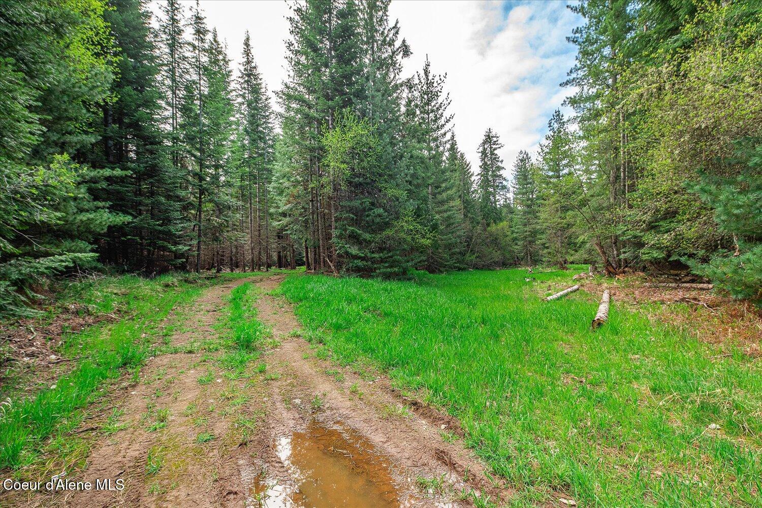 36524 East Canyon Road Cataldo, ID 83810 - Photo 26 of 88 21-47.54488, -116.32776 021