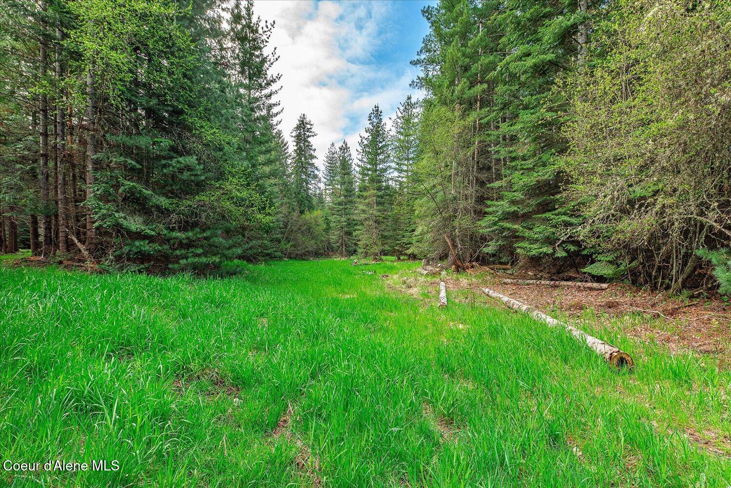 36524 East Canyon Road Cataldo, ID 83810 - Photo 27 of 88 22-47.54488, -116.32776 022