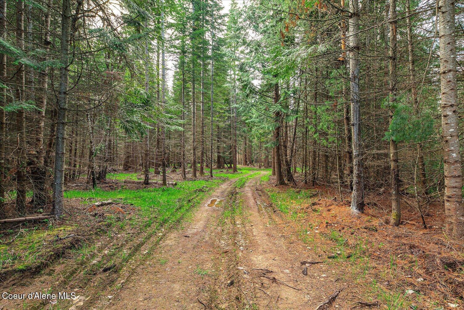 36524 East Canyon Road Cataldo, ID 83810 - Photo 28 of 88 23-47.54488, -116.32776 023