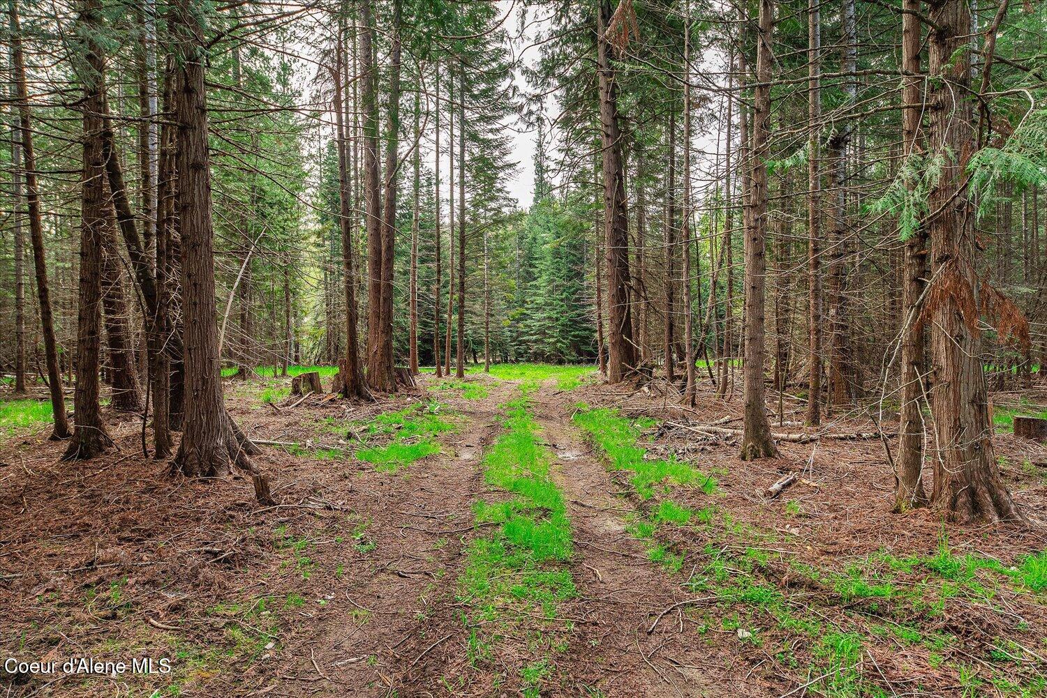 36524 East Canyon Road Cataldo, ID 83810 - Photo 29 of 88 24-47.54488, -116.32776 024