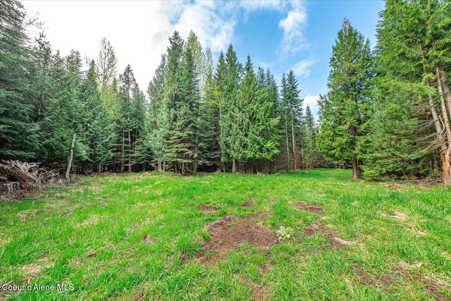 36524 East Canyon Road Cataldo, ID 83810 - Photo 30 of 88 25-47.54488, -116.32776 025