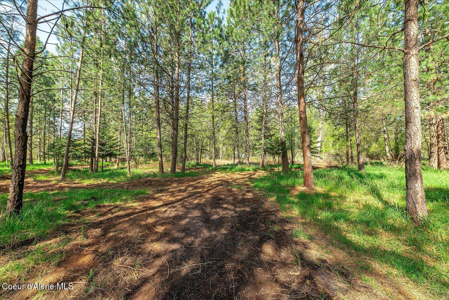 36524 East Canyon Road Cataldo, ID 83810 - Photo 5 of 88 57-47.54922, -116.32625 013