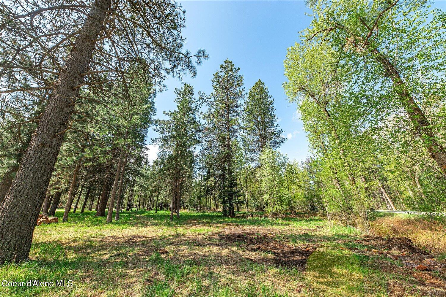 36524 East Canyon Road Cataldo, ID 83810 - Photo 58 of 88 54-47.54922, -116.32625 010