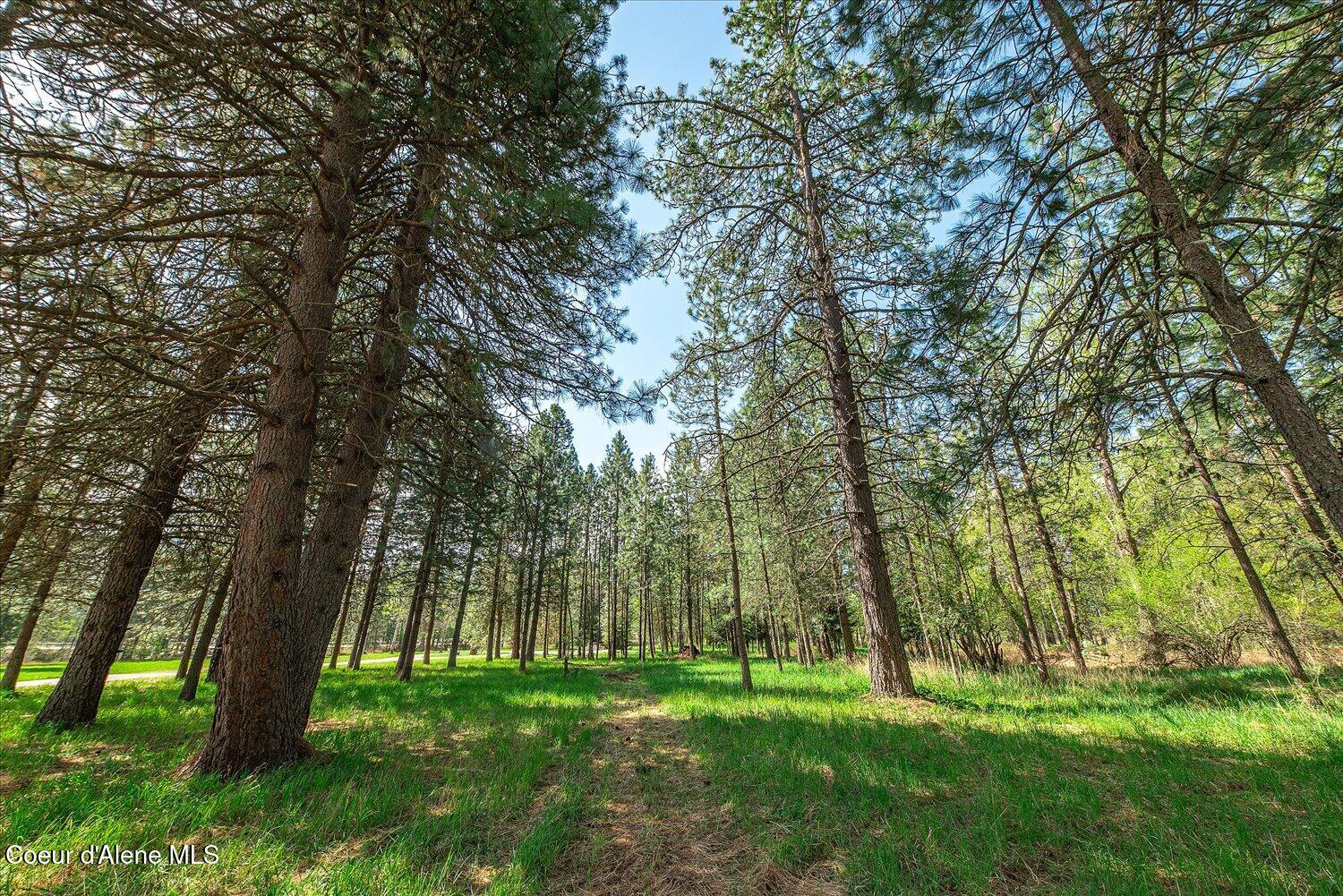 36524 East Canyon Road Cataldo, ID 83810 - Photo 59 of 88 55-47.54922, -116.32625 011